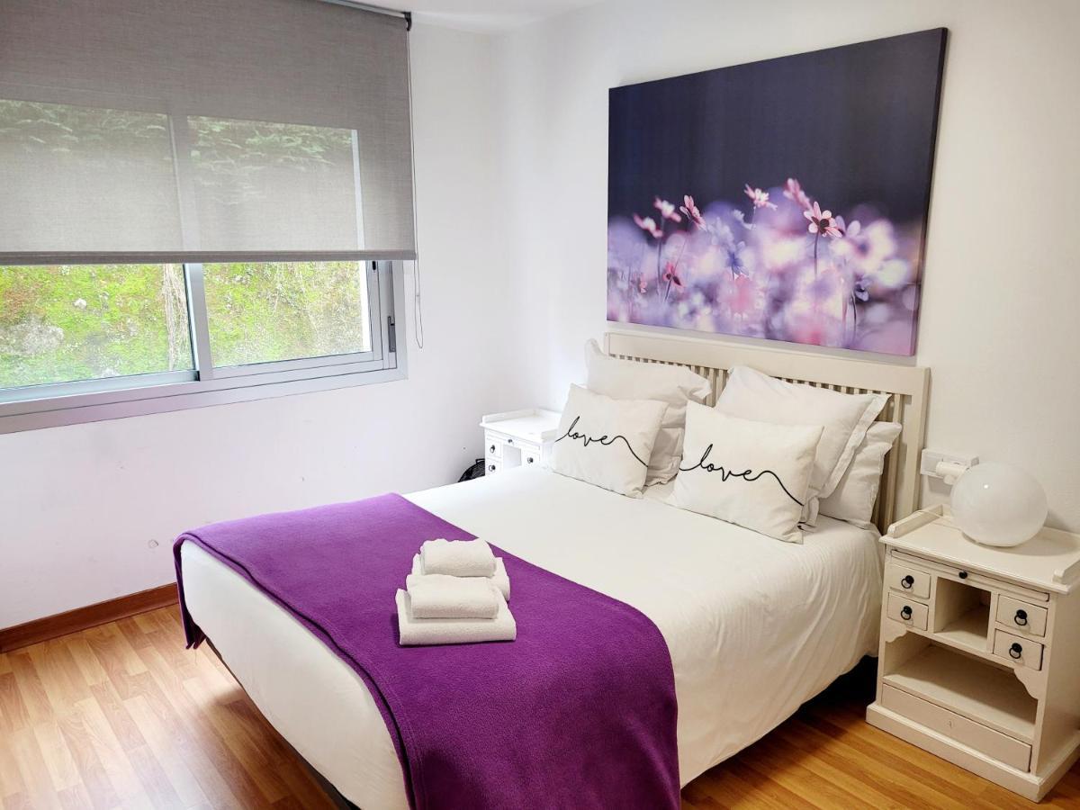 Amplio Piso Proximo A La Catedral Y El Camino. C2 Apartment Santiago de Compostela Ngoại thất bức ảnh